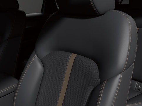 Black Leather Long Wheel Base
